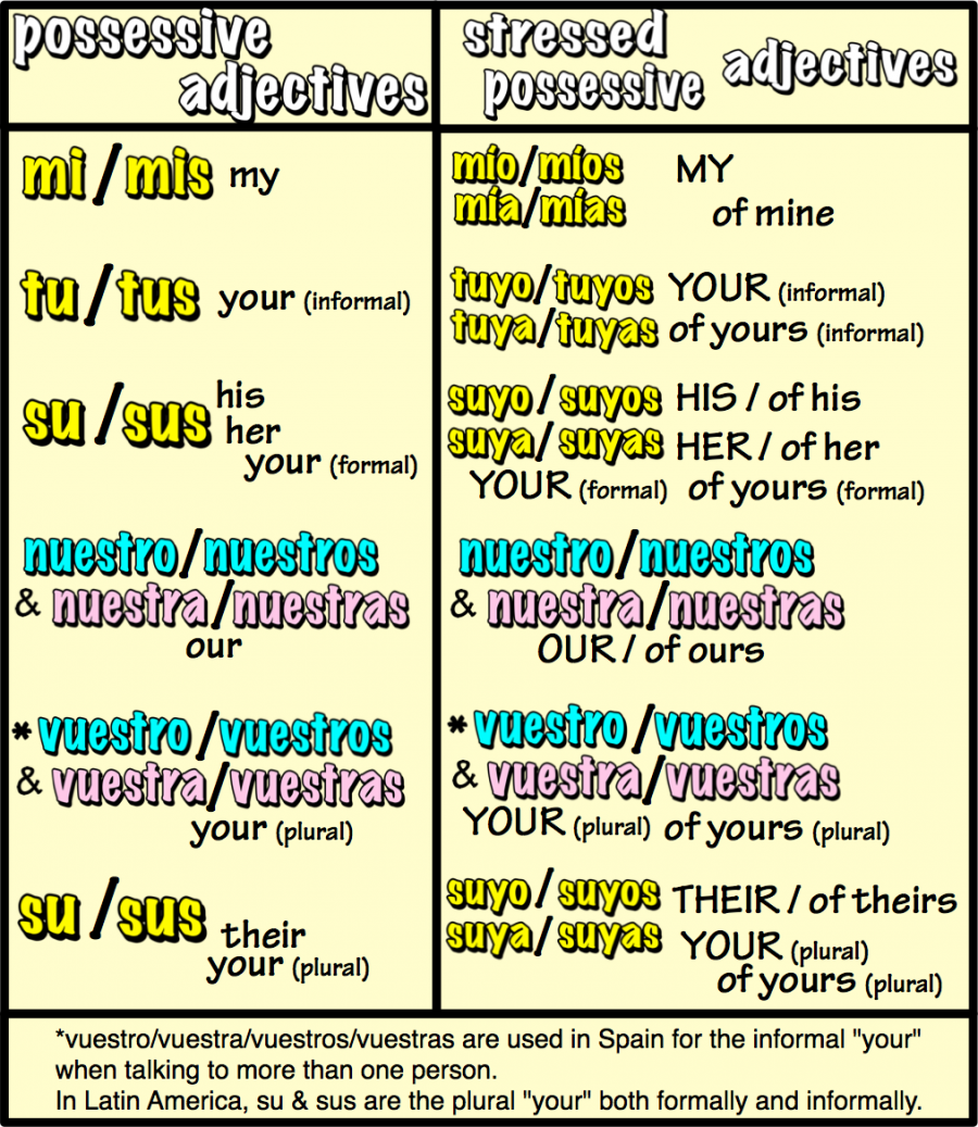 2 4 Stressed Possessive Adjectives And Pronouns Worksheet Answers